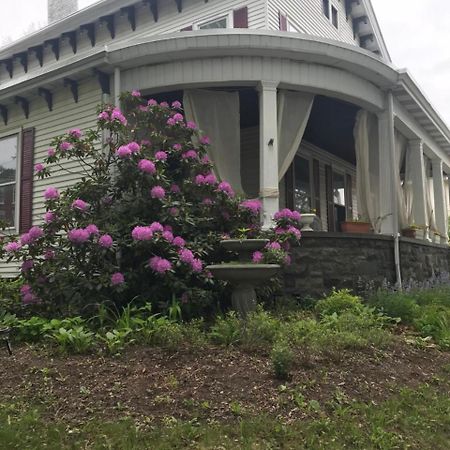 كينغستون Bel'S Inn Bed And Breakfast المظهر الخارجي الصورة