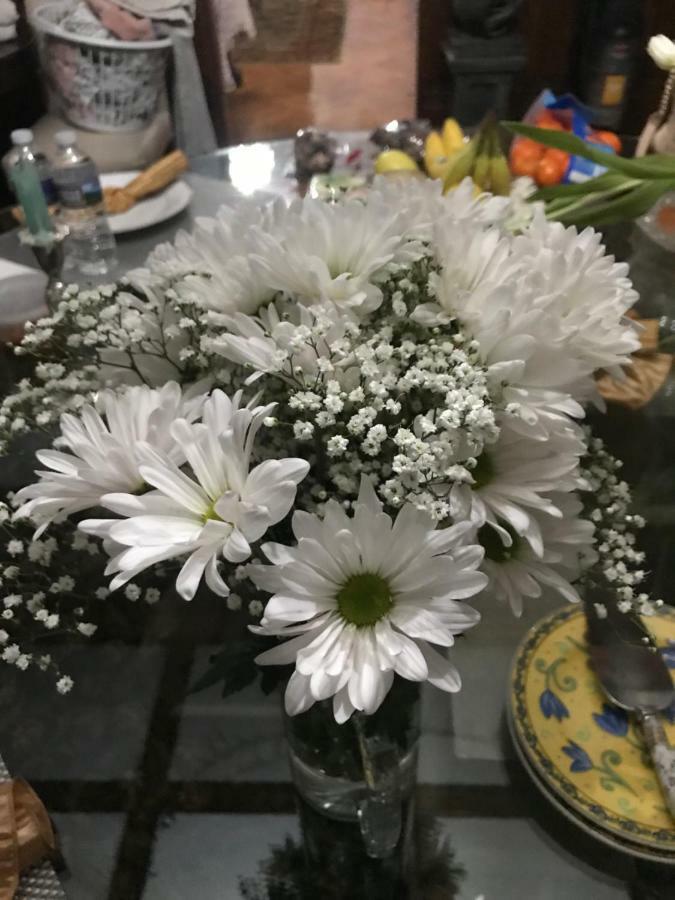 كينغستون Bel'S Inn Bed And Breakfast المظهر الخارجي الصورة